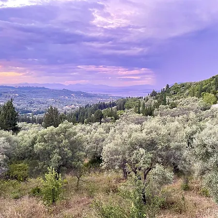 Case de vacanță Cozy 2-bdrm-house With Garden *